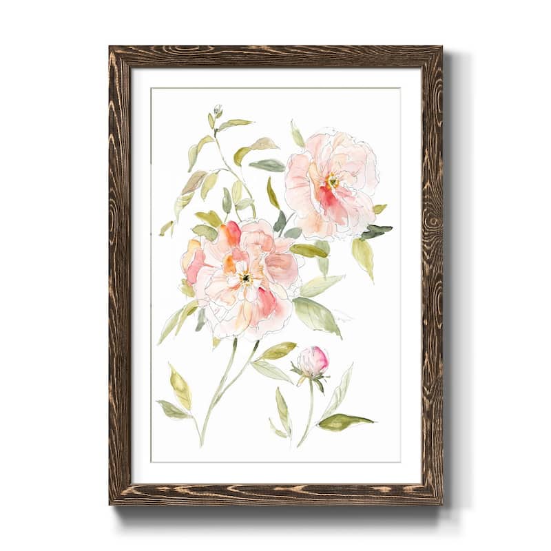 Sketchbook Cottage Rose II-Premium Framed Print - Ready to Hang