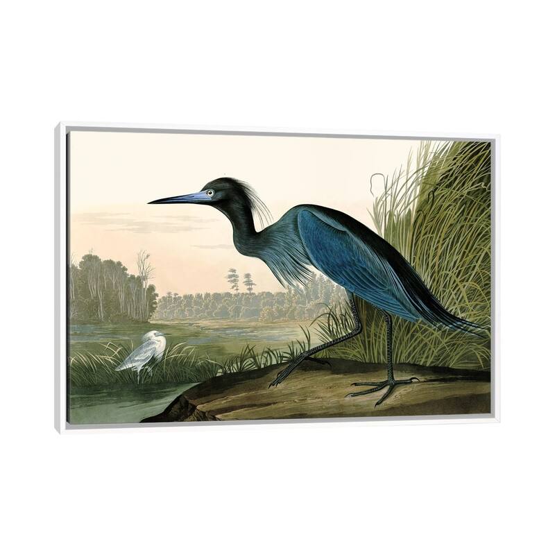 iCanvas "Blue Crane" by Piddix Framed Canvas Print - White - 32x48