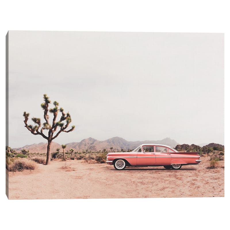 In the Desert by Sisi and Seb Canvas Art Print