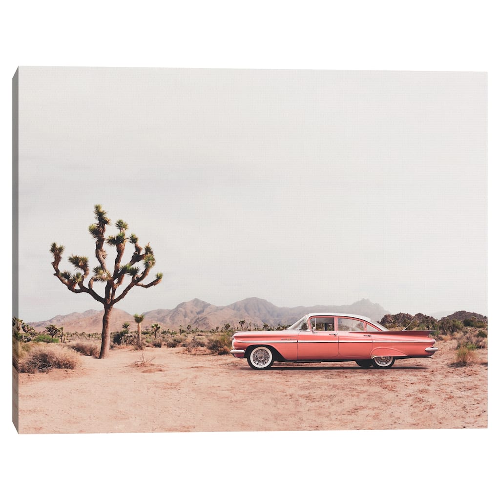 In the Desert by Sisi and Seb Canvas Art Print