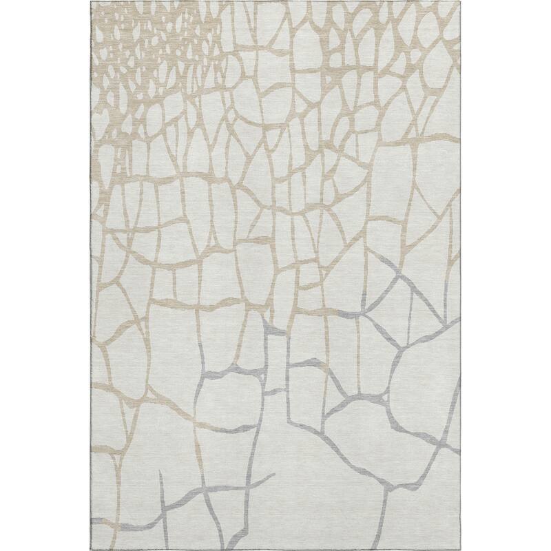 Premium Washable Super Soft Contemporary Webby Mayfield Rug