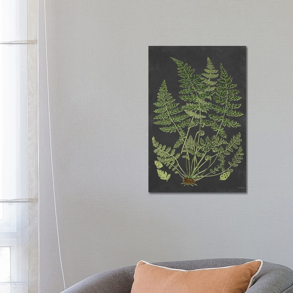 iCanvas "Fern Study" by lettered & lined Canvas Print