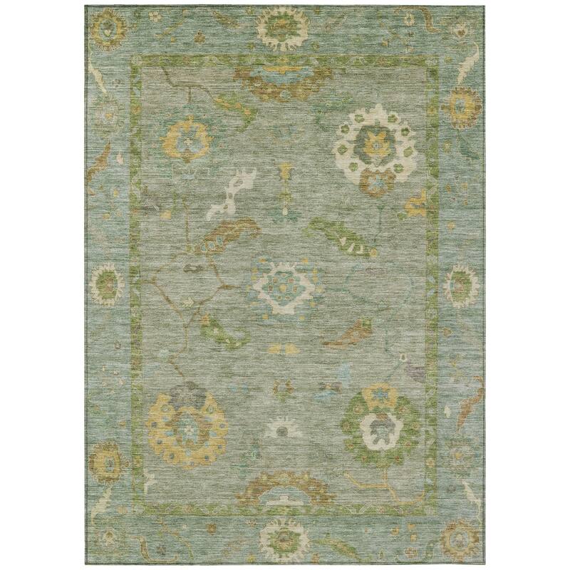 Machine Washable Indoor/ Outdoor Traditional Boho Chantille Rug