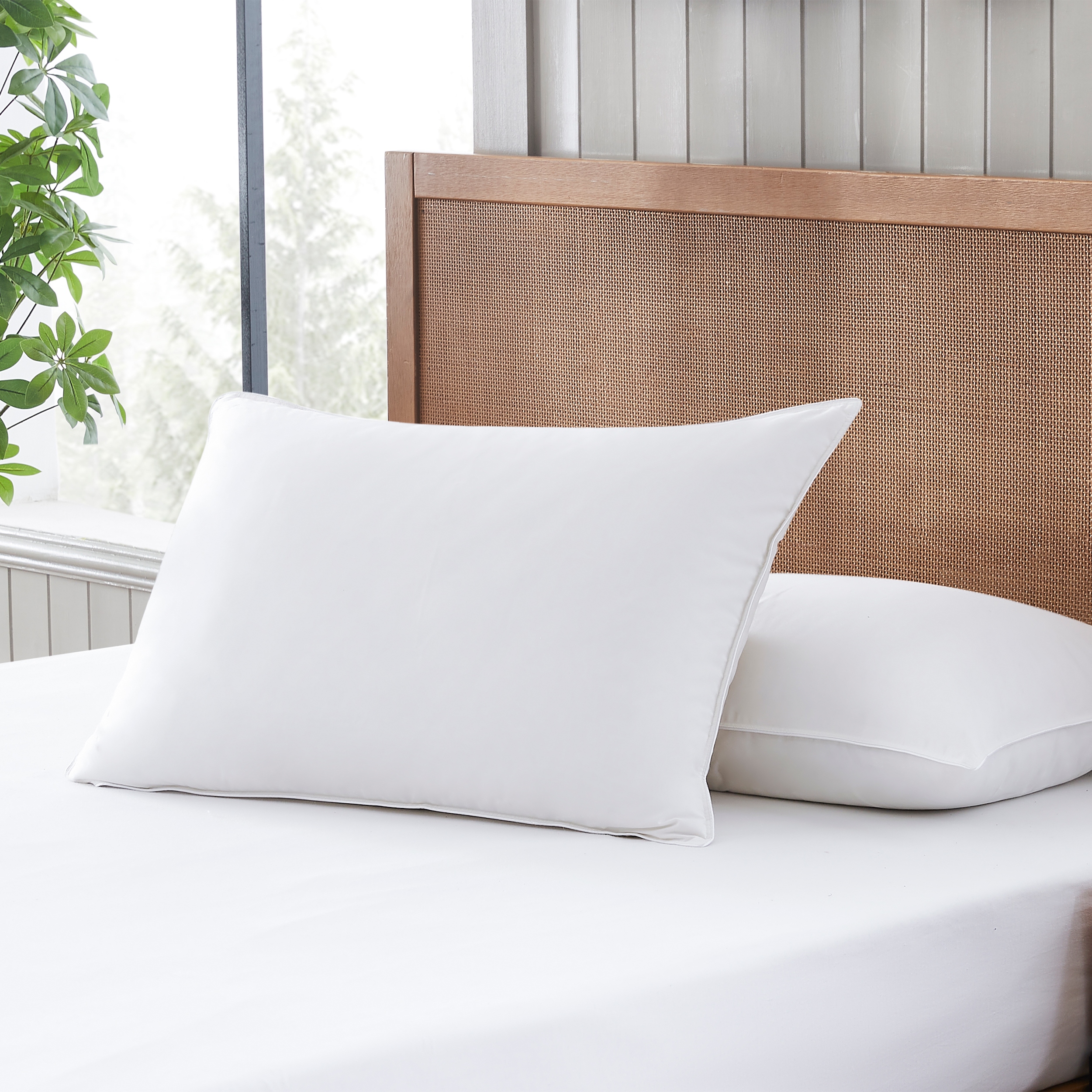 Eddie bauer euro deals pillow