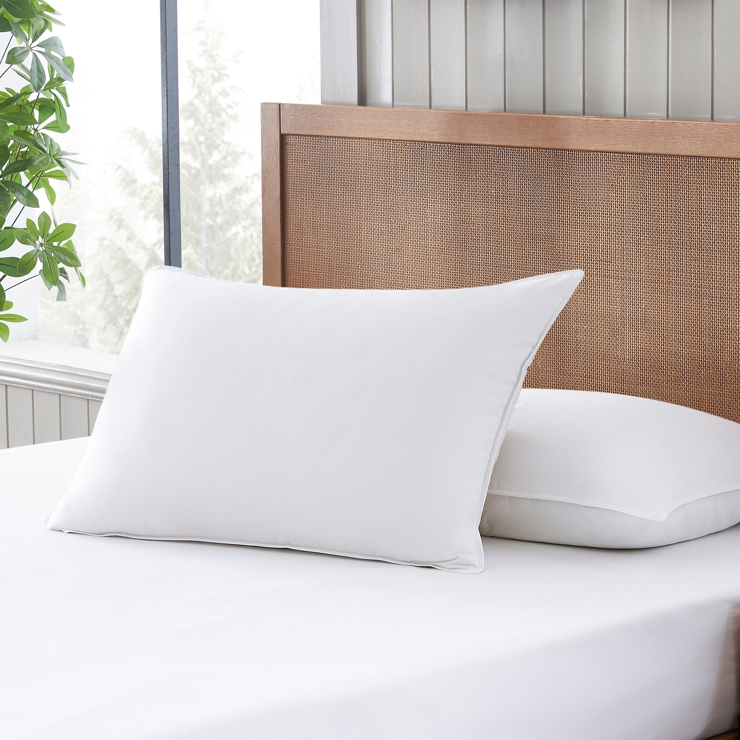 Eddie bauer supreme comfort gel pillow cheap