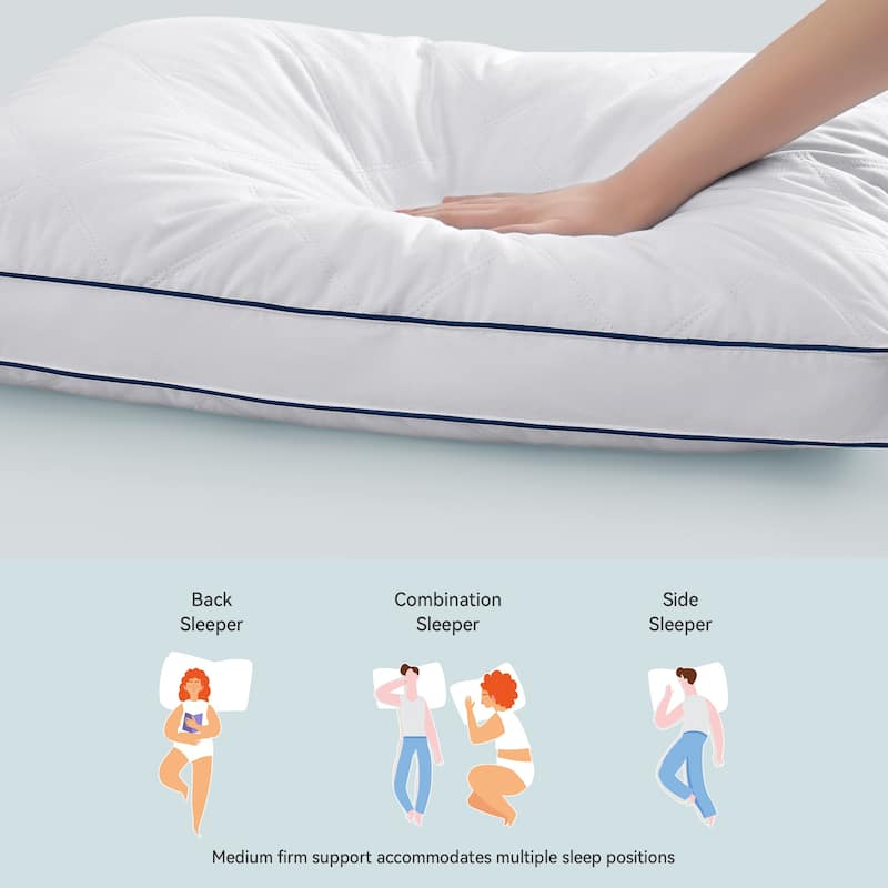 Set of 2 Premium Medium-Firm Goose Feather Down Bed Pillow with Gusset - White