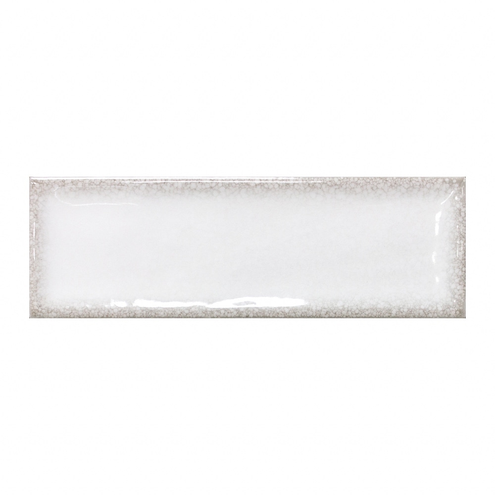 The Tile Life Coast 2.5 x 8 Glossy Porcelain Subway Wall Tile