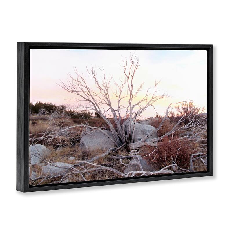 Stupell Rocky Foothills Terrain Framed Floater Canvas Wall Art Design By Gemma Bardot
