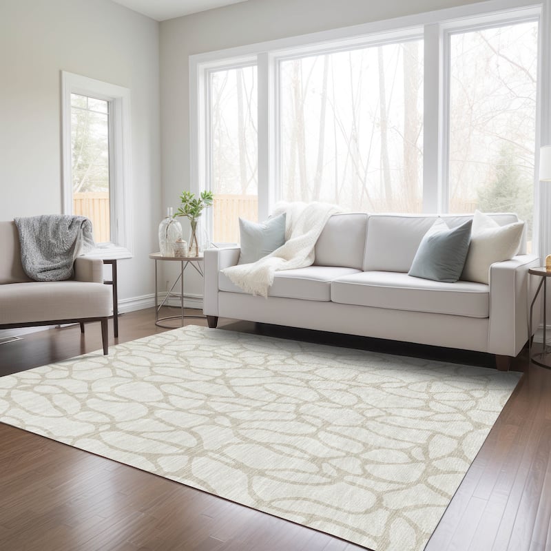 Machine Washable Indoor/ Outdoor Modern Chantille Rug