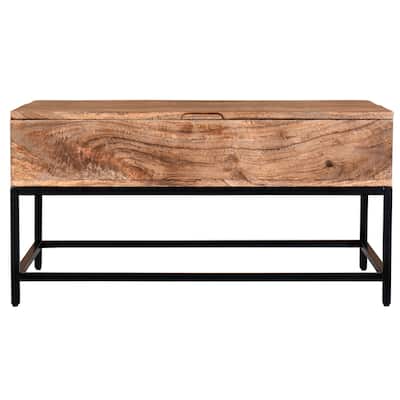 Carbon Loft Fingerling Natural Burnt Lift-top Coffee Table