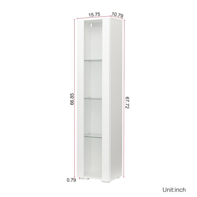 Tall Storage Cabinet with LED Lights 12 Colors
