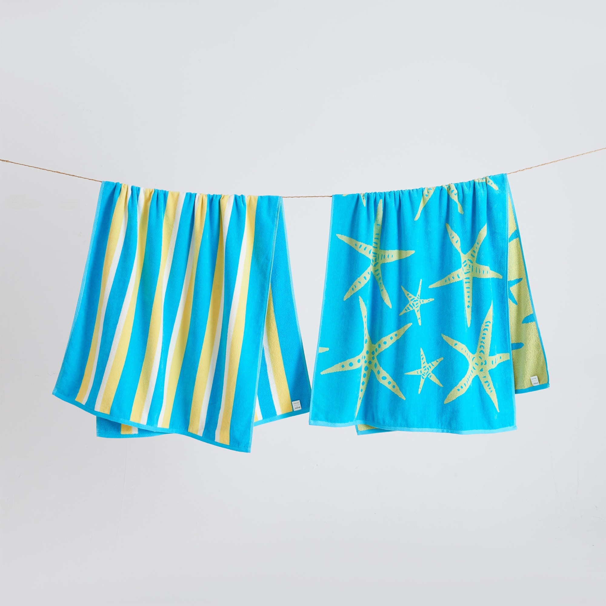 Option Starfish - Blue / Yellow