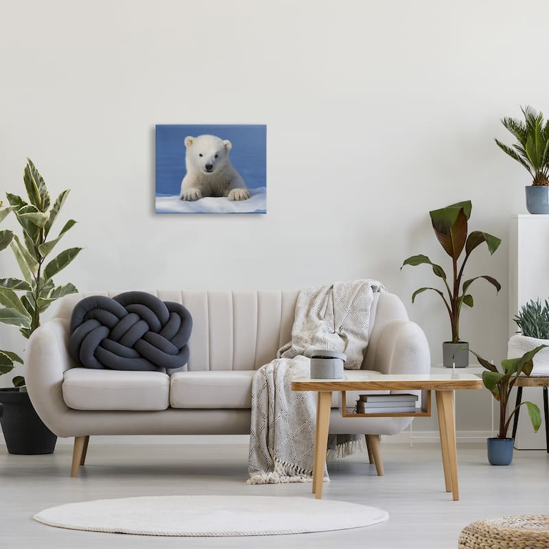 Stupell Baby Polar Bear Peeking Canvas Wall Art Design by © Shane Lamb