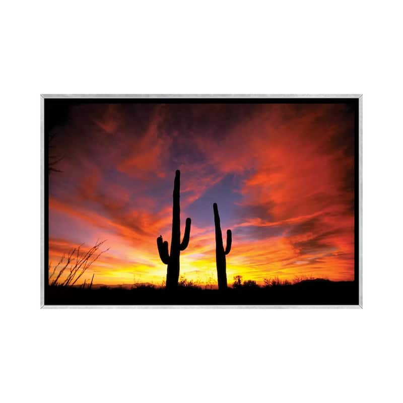 iCanvas "A Pair Of Saguaro Cacti At Sunset, Sonoran Desert, Arizona, USA" by Marilyn Parver Framed