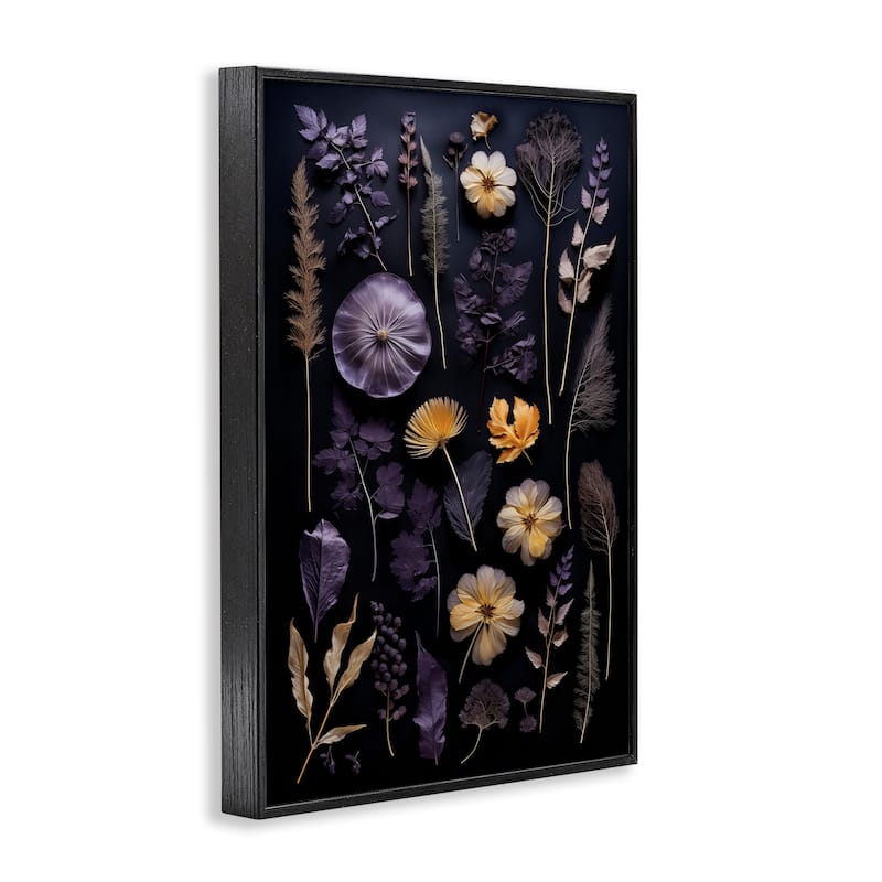 Stupell Flower Specimens on Black Framed Giclee Art Design By Heidi Kuntz