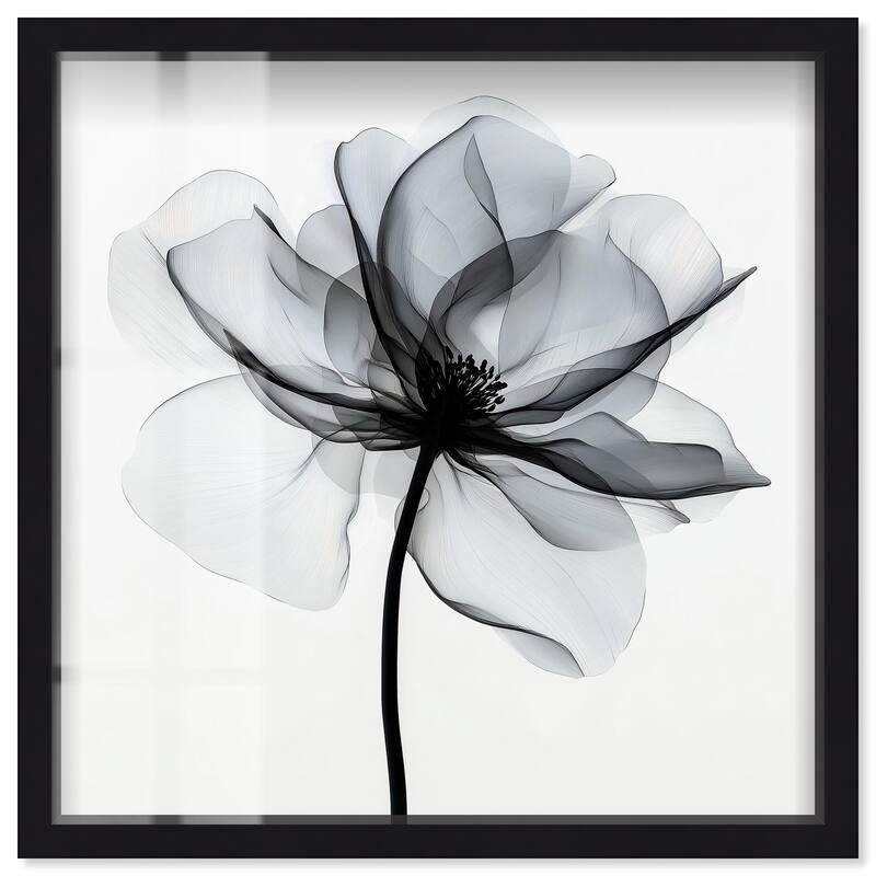 Midania III Shadowbox by Art Remedy - Black - 16" x 16"