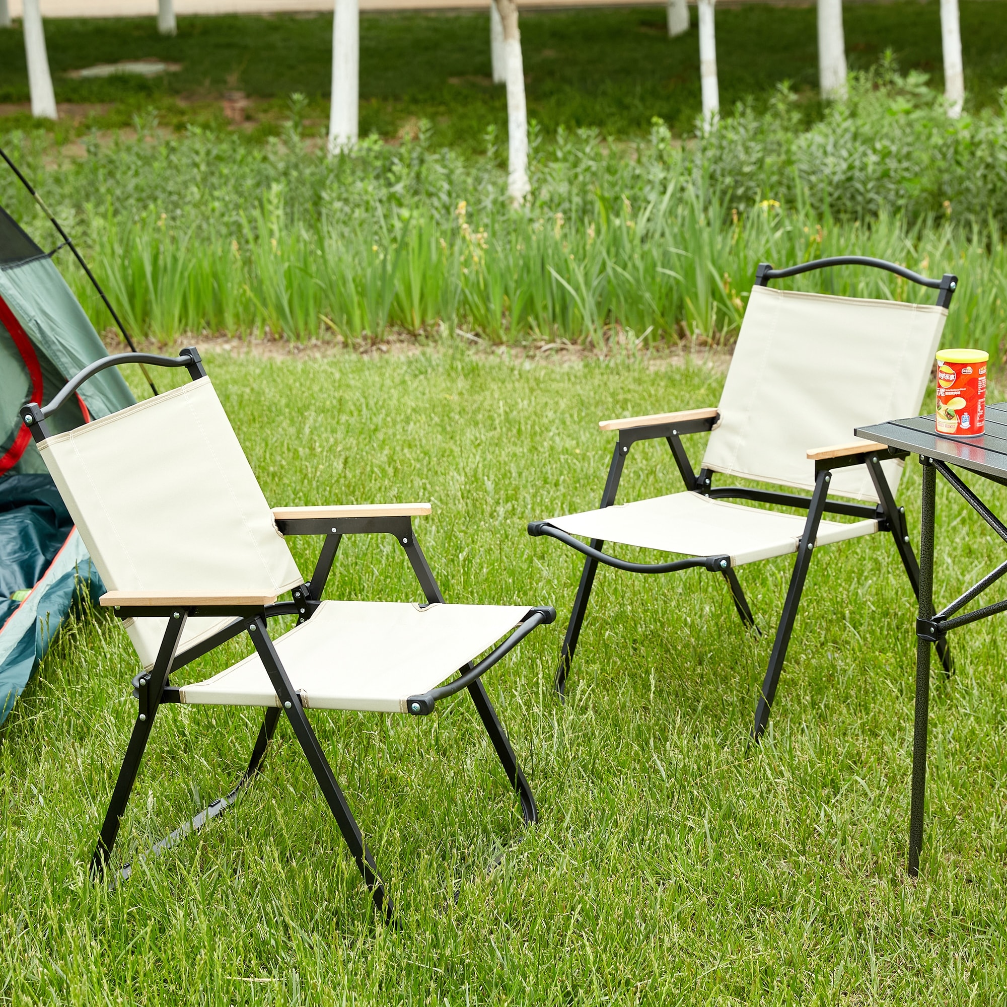 Bed bath and beyond camping chairs new arrivals