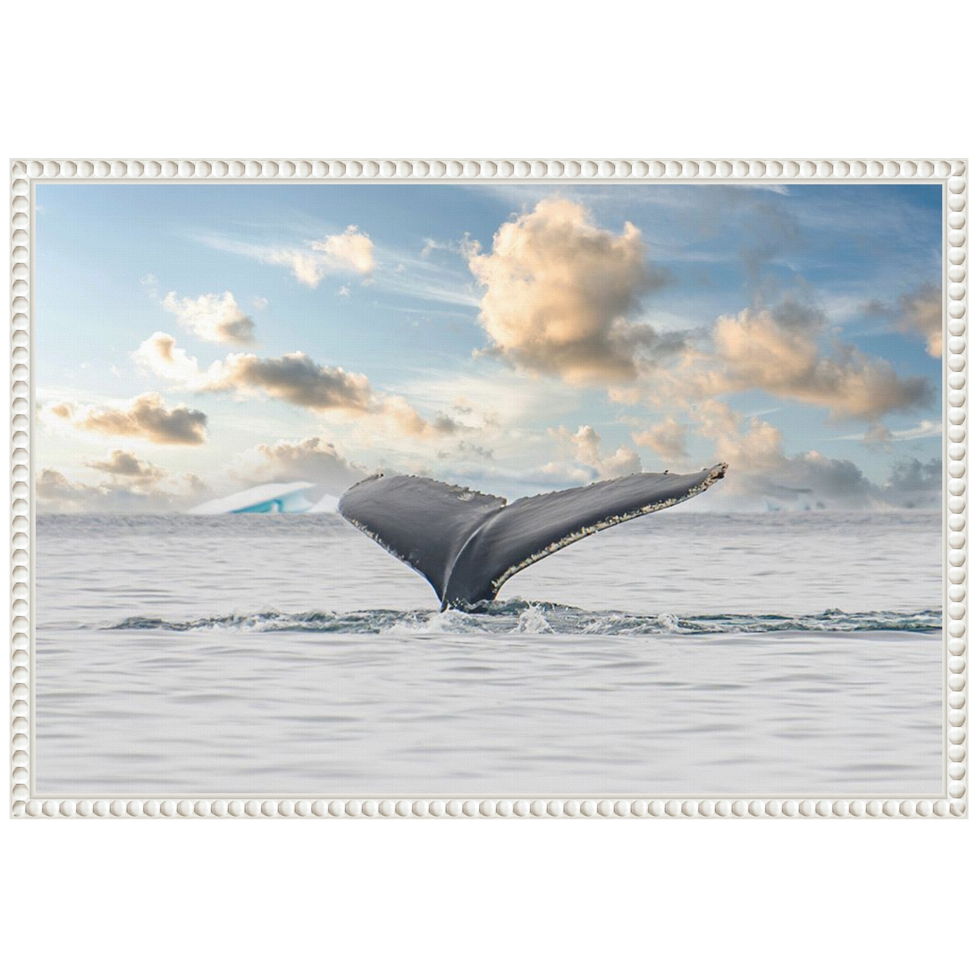 Antarctica Whale Tail III by Richard Silver Framed Canvas Wall Art - Sylvie Beaded White