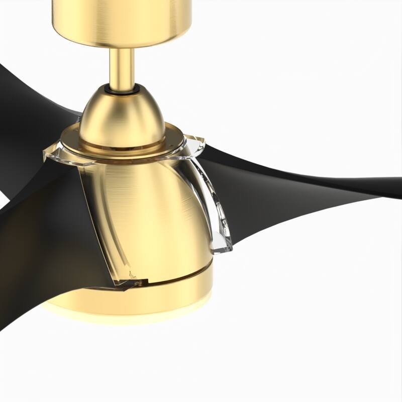 Fanimation Klear 56 inch Indoor/Outdoor Smart Ceiling Fan with LED CCT Select Light Kit and Remote - Brushed Satin Brass & Black