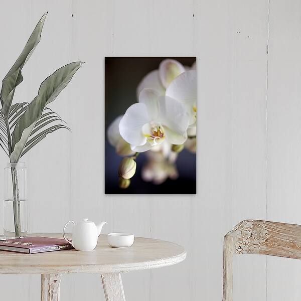 Shop White Japanese Orchids Flowers And Buds Canvas Wall Art On Sale Overstock 16492545