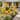 C Cattleya 3-Pack Outdoor Solar Sunflower Landscape Light,Color Changing LED Stake Lights for Garden