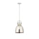 Option Polished Nickel