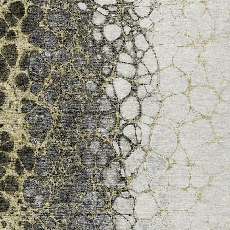 HomeRoots Abstract Transitional Rectangle Outdoor Rug