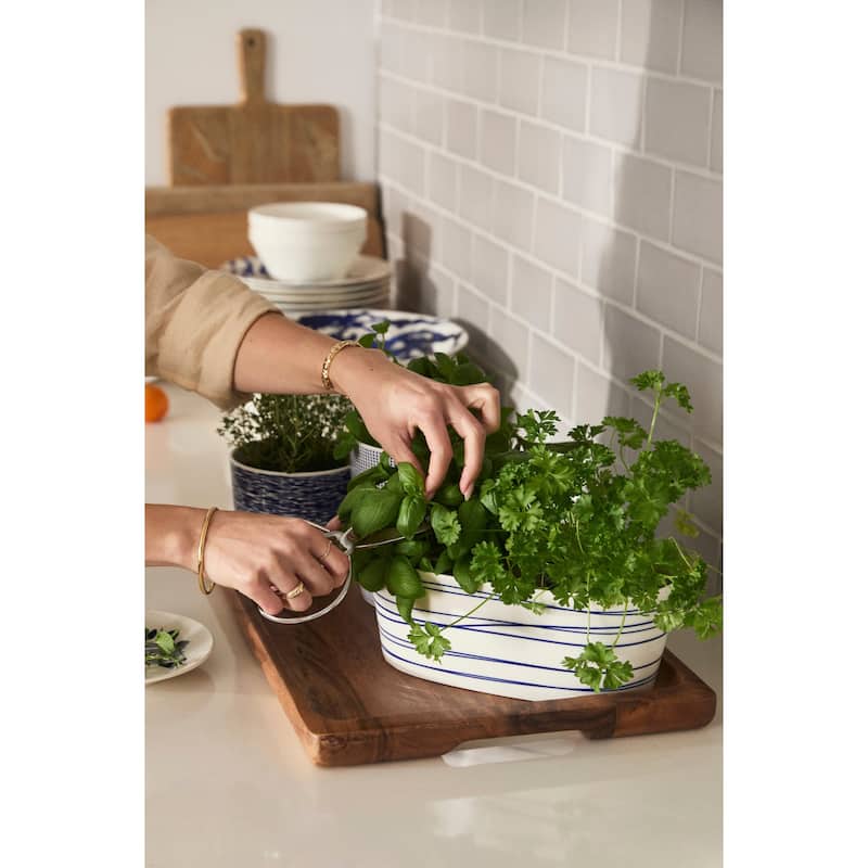1815 Pacific Trough Planter 10.35" Blue - 10.35 x 5.83"