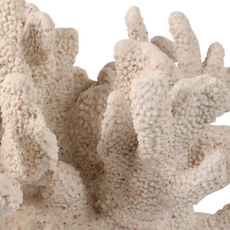 Polyresin Sculpture Coral Reef Textured Modern Accent - 8" Ivory - 15.25" x 9.75" x 8"