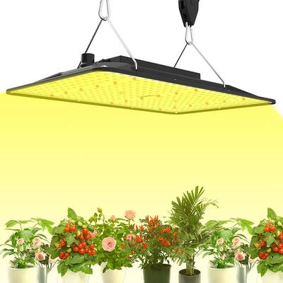 Full Spectrum Dimmable LED Grow Lights, 2x2 Foot Coverage for Indoor Plants - Black