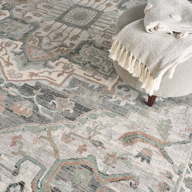 Nourison Parisa Traditional Persian Medallion Bordered Area Rug