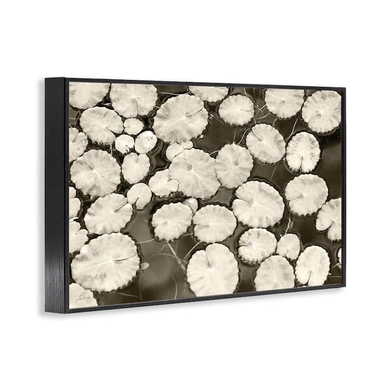 Stupell White Floating Lily Pads Framed Giclee Art Design By Lori Deiter
