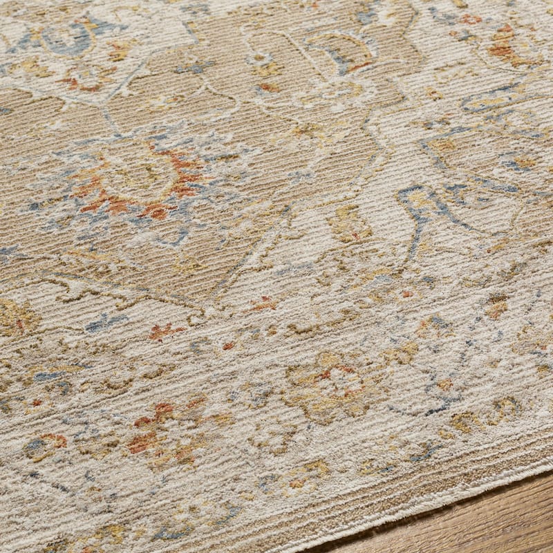 Tereza Updated Traditional Medallion Area Rug