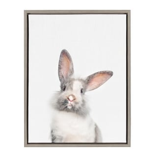 Sylvie M Baby Bunny Rabbit Animal Print Framed Canvas by Amy Peterson