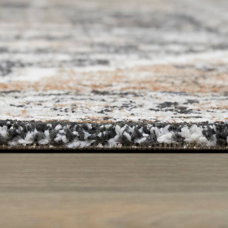 Dion Vintage Medallion Area Rug