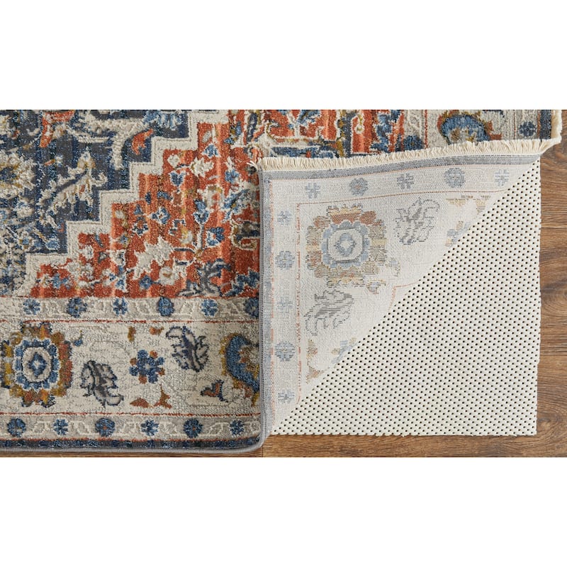 Frencess Medallion Bohemian & Eclectic Area Rug