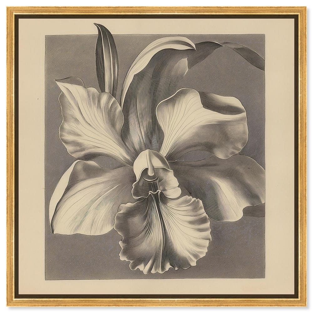 Petals Unfurled II Canvas by Art Remedy