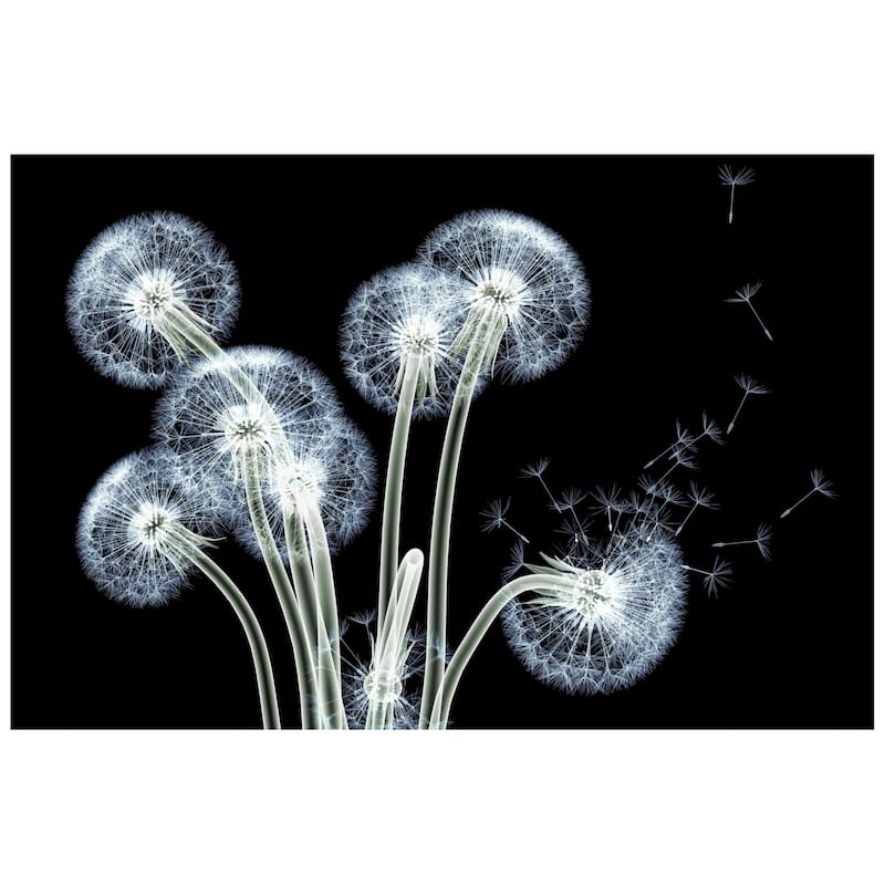 "Dancing Dandelions" Wall Art Printed on Tempered Glass