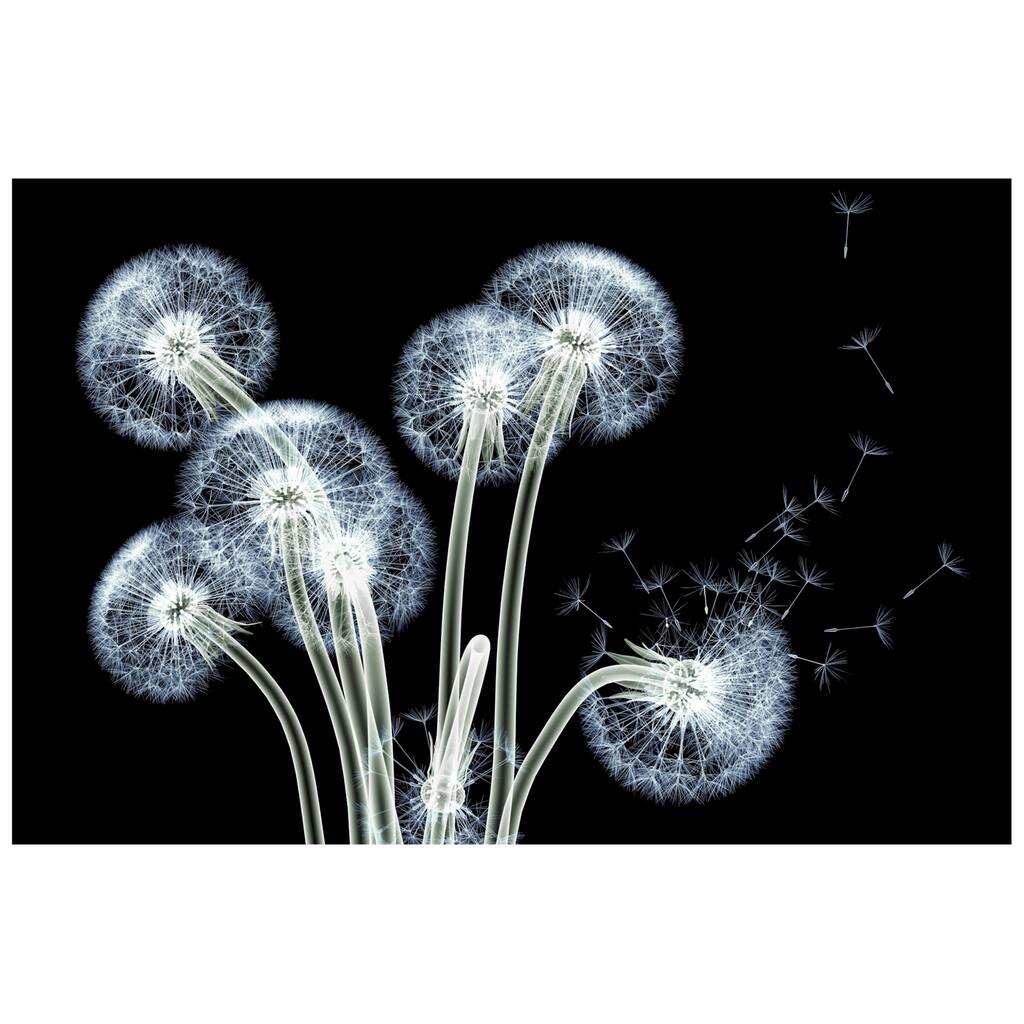 "Dancing Dandelions" Wall Art Printed on Tempered Glass