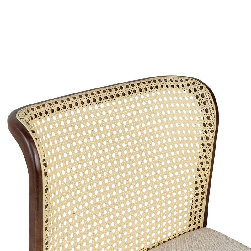 Modern Brazilian - Eloa - Cane Side Chair