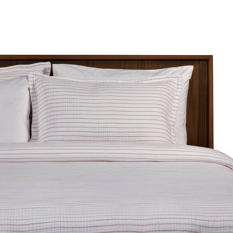 Airply Stripe Standard Sham