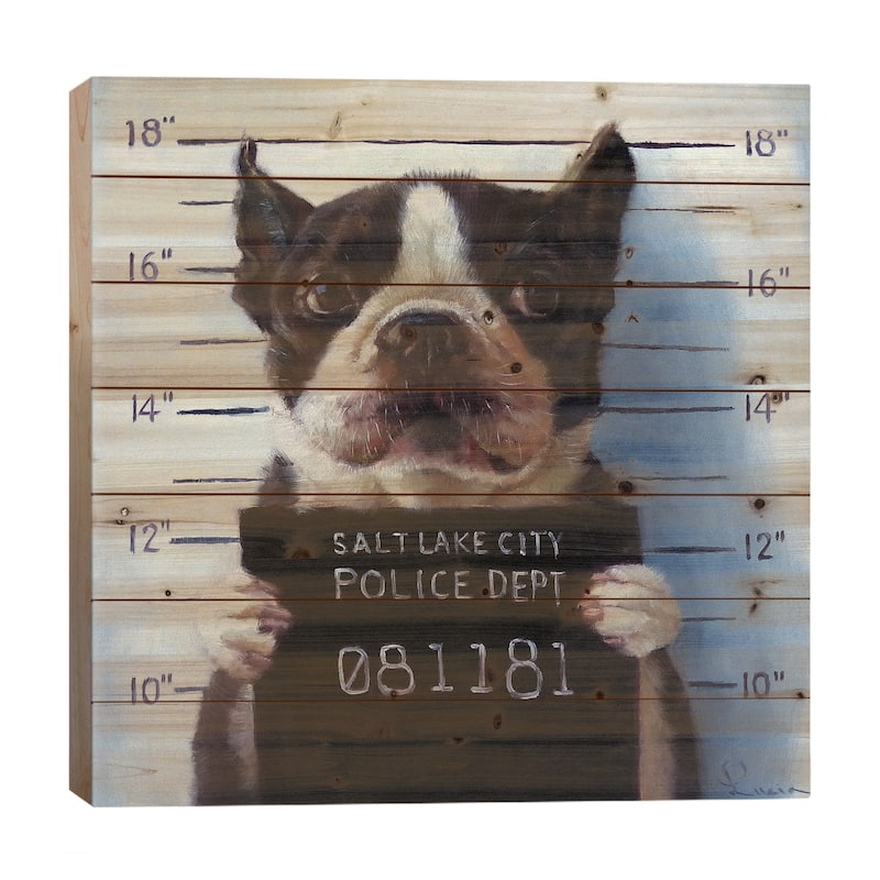 Mug Shot Print On Wood by Lucia Heffernan - Multi-Color - 26x26x1.5