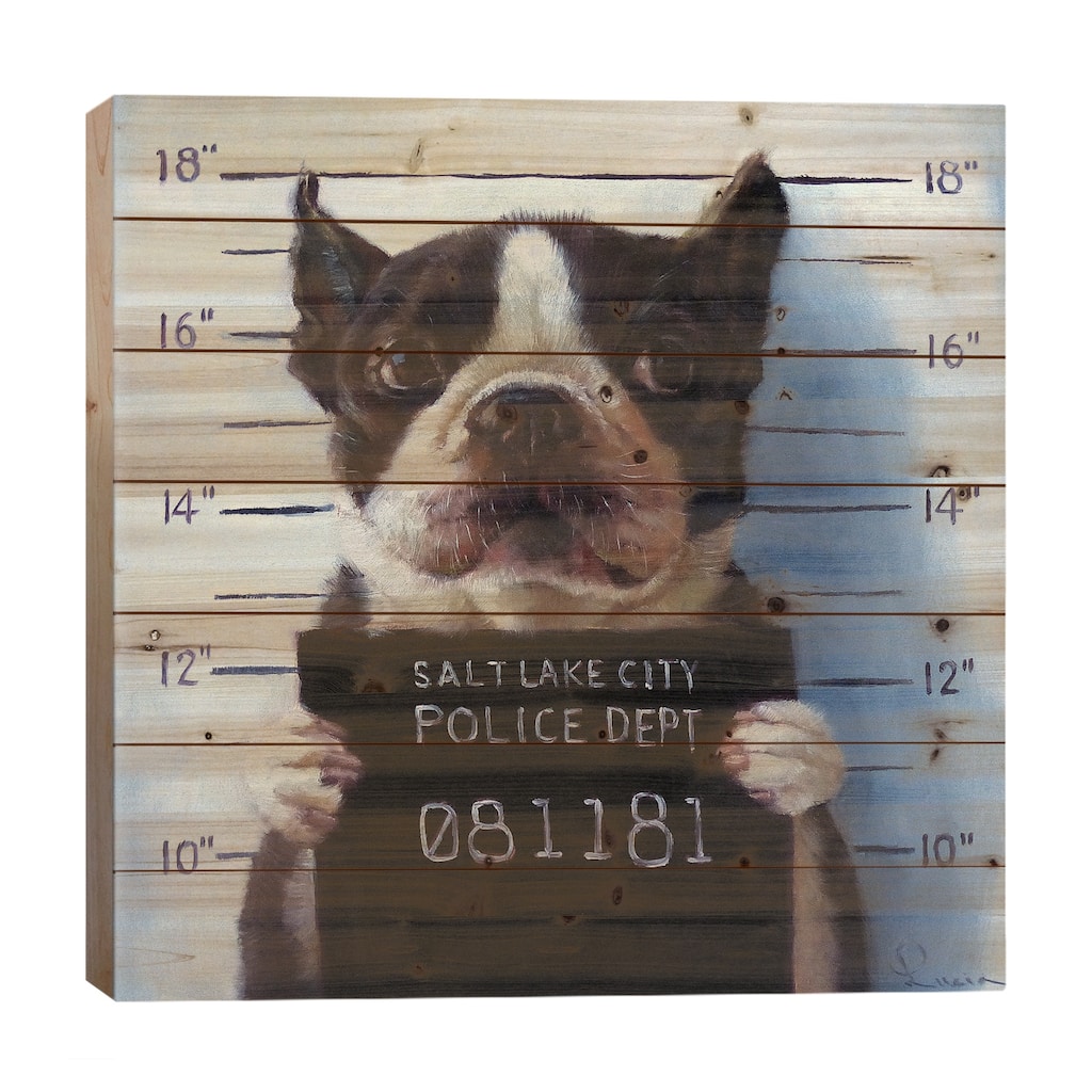 Mug Shot Print On Wood by Lucia Heffernan - Multi-Color