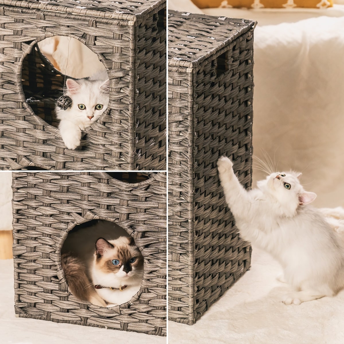 Bed bath and beyond cat bed sales