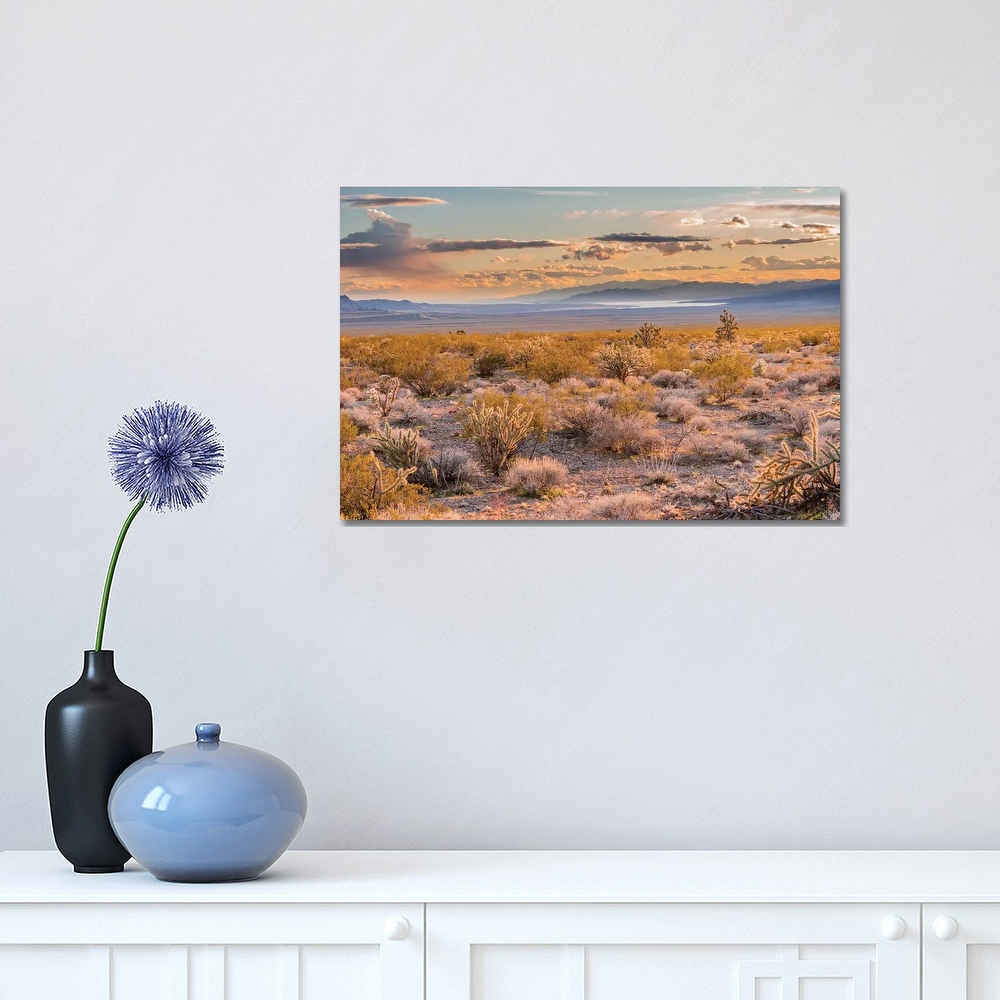 iCanvas "Desert, Lake Mead, Gold Butte National Monument, Nevada" by Jeff Foott Canvas Print