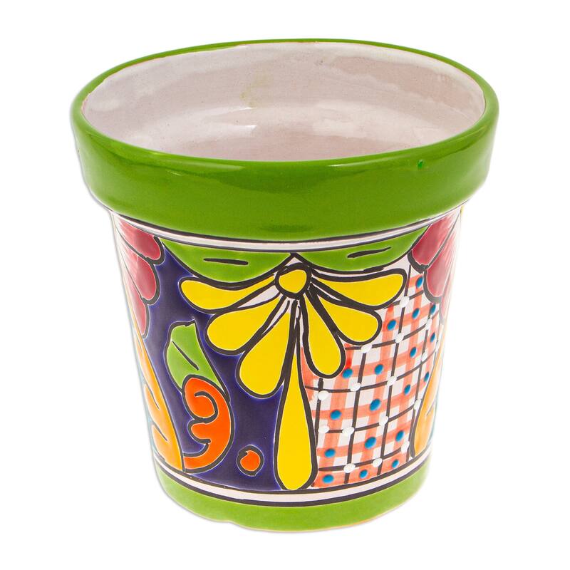 Novica Handmade Kiwi Elysium Ceramic Flower Pot