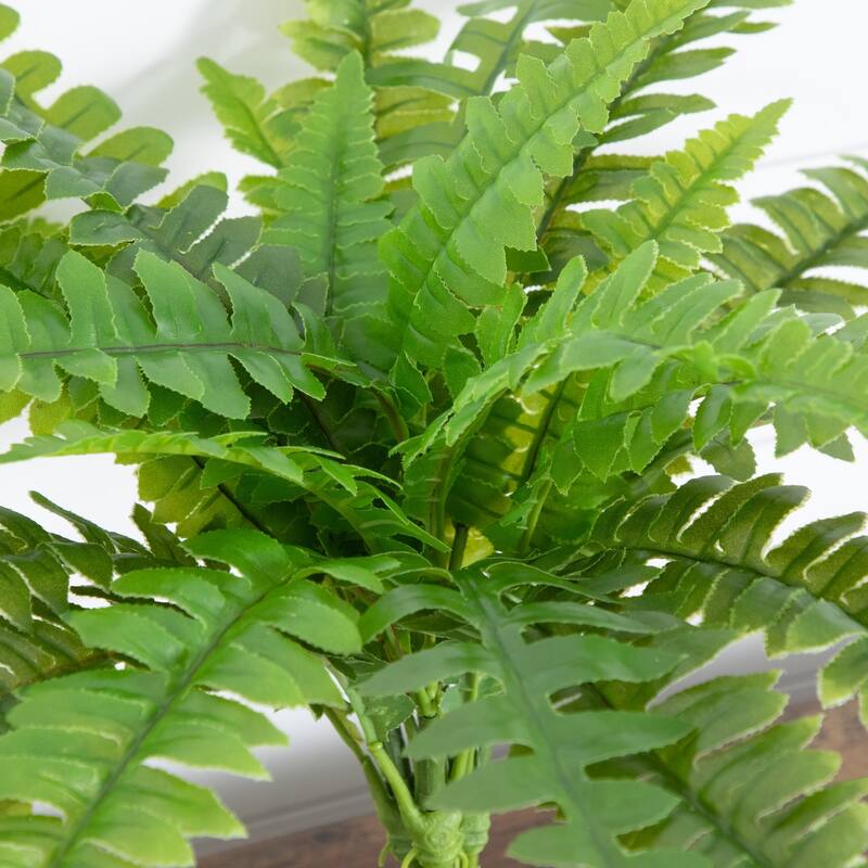 Boston Fern Artificial Plant - 19" - Set of 2