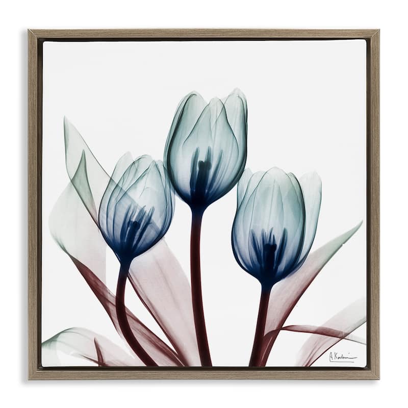 Stupell Chic Blue Translucent Tulips Framed Floater Canvas Wall Art Design By Albert Koetsier - 25 x 25 - Brown