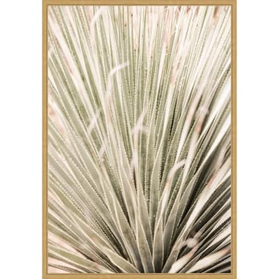 Desert Spoon by Shot by Clint Framed Canvas Wall Art Print - Sylvie Bright Gold