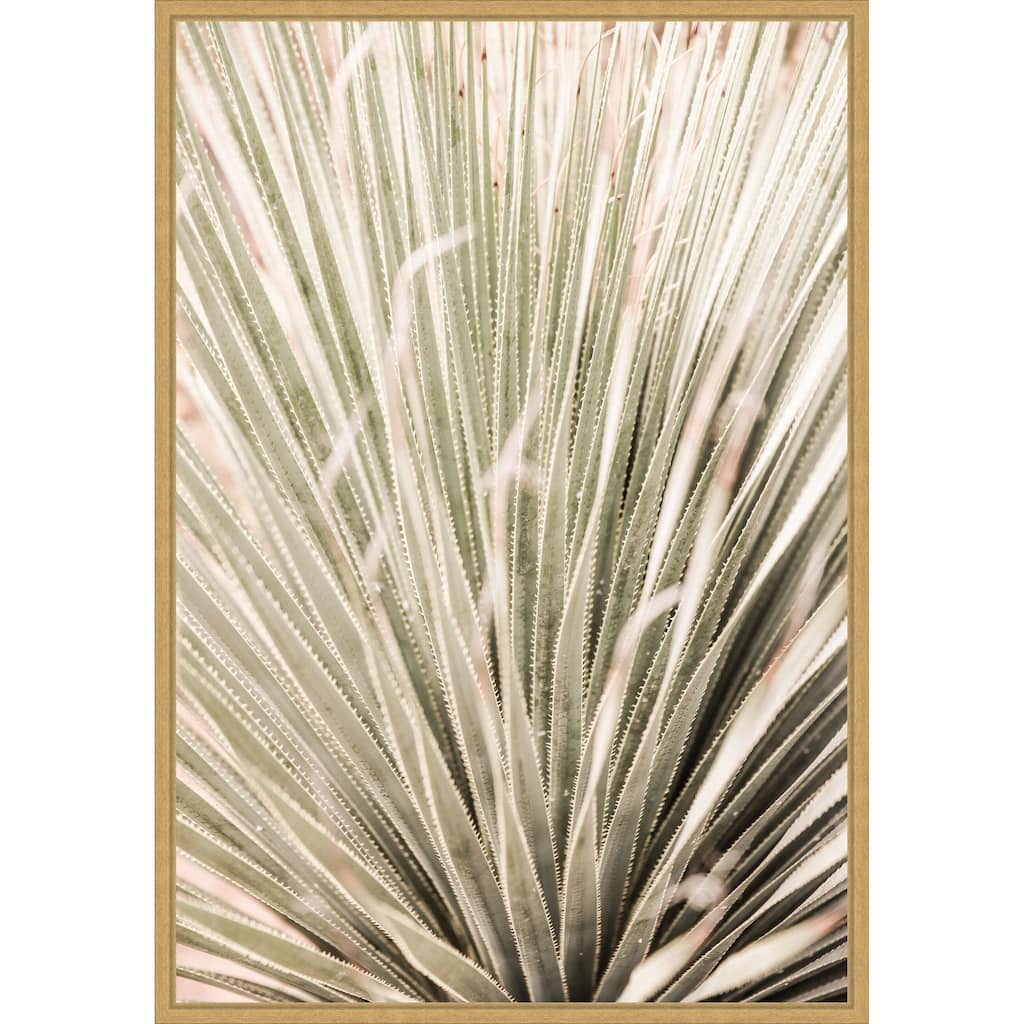 Desert Spoon by Shot by Clint Framed Canvas Wall Art Print - Sylvie Bright Gold